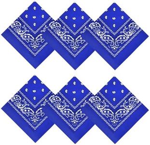 APIGANIZ 100% Cotton Bandanas, 21 x 21 inches, Set of 6 (Basic - Blue)