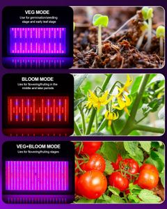 KOSCHEAL KS2000 LED Grow Light – Full Spectrum, Samsung LM301B, 230W, UV, Daisy Chain, Indoor Plants