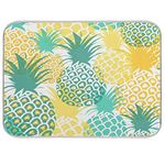 Pineapple Tropical Fruit Dish Drying Mat for Kitchen, Absorbent Microfiber Drying Pad Dish Mat, 16" X 18"