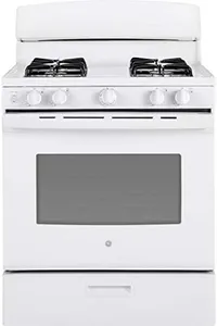 GE JGBS30D