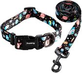 Ihoming Dog Collar and Leash Set fo