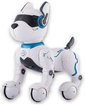 Remote Control Robot Dog Toy with T