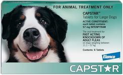 CAPSTAR 6X