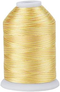 Simthread Variegated Polyester Embroidery Thread 5500Yards 5000M High-Yardage 40WT 100% Polyester Thread, High-Speed Rated – Compatible with Brother, Singer, Janome & More-S116