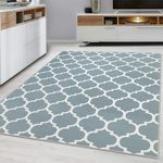 Hafaa Rugs Living Room – Small Rug for Bedroom Soft Touch Premium Quality Trellis Style Printed Area Rug Modern Floor Carpet (40x60cm, Ava)