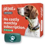 PitPat GPS Dog Tracker No Monthly Fees - Suitable for All Dogs And Fits All Collars - Smart Activity Tracker, Satellite Tracking With Unlimited Range - 100% Waterproof Pet Tracker (Green)