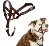 HALTI Headcollar - to Stop Your Dog