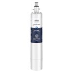 GLACIER FRESH RPWFE (with CHIP) Refrigerator Water Filter, Replacement for GE® RPWFE, RPWF, WSG-4, WF277, GFE28GMKES, PFE28KBLTS, GFD28GSLSS, PWE23KSKSS, GYE22HMKES, DFE28JSKSS, 1 Pack