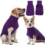 Winter Vest For Dogs