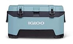 Igloo 72 Qt Celadon BMX Cooler