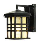 Trans Globe Lighting 4635 BK 1-Light Coach Lantern, Black