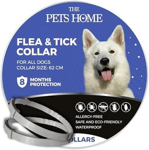 THE PETS HOME Collar Antiparasitario Perros contra Pulgas y Garrapatas, Control Antipulgas Perros 8 Meses de Protección, Collar Antipulgas de 62cm para Perros Pequeños Medianos Grandes 2 PCS