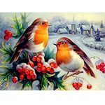 DIY 5D Diamond Painting by Numbers Kits, Robins Birds and Fruits Winter Scene, Full Drill Rhinestones Paint with Diamonds Crystal Diamond Art (Birds)