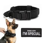 Outdoor Dog Collar