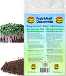 Purple Kohlrabi Microgreen Seeds | Chou-rave violet Graines de Micropousses | Certified Organic & Non-GMO | Net Wt. 200 Grams (approx. 69,000 seeds) | High Germination Rate | Product of Canada