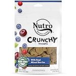 NUTRO Crunchy Dog Treats with Real 