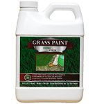 Ranger Grass Paints