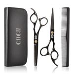 Professional Hair Shears