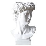 Greek Statue of David Bust Resin Sculpture for Roman Bookshelf Tabletop Office Home Decor 6.5 Inch David Head Artist Figurine Succulent Planters Dried Flowers Vase Makeup Brush Pen Holders