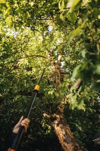 Fiskars PowerGear X Tree Pruner – Lightweight Telescopic Lopper