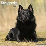 Schipperke Calendar - Dog Breed Cal