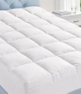 Fracho Cot