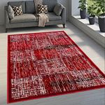 ENYRA Anti-Skid Polyester Carpet for Living Room 100x140 CM Feet | Printed Design Indoor Floor Rugs | Soft Carpet Rug for Bedroom/Living Room/Home with Anti Slip Backing