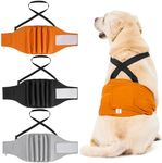 3 Pack Avont Male Dog Belly Band wi