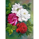 DIY 5D Diamond Painting by Numbers Kits, Peony Flowers, Full Drill Rhinestones Paint with Diamonds Crystal Diamond Art (Peony)