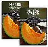 Survival Garden Seeds - Hale's Best Melon Seed for Planting - Grow Juicy Cantaloupe for Eating - 2 Packs with Instructions to Plant in Your Home Vegetable Garden - Non-GMO Heirloom Variety