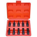 XZN Triple Square Spline Bit Socket Set, Premium Cr-Mo Steel | 10-Piece M4 - M16 Set | 3/8-Inch Drive | Enhanced Storage Case…