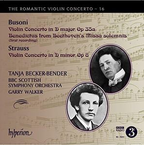 The Romantic Violin Concerto Vol.16