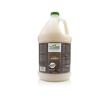 Green Groom Oatmeal Dog Shampoo, 1 Gallon - Crafted with Colloidal Oatmeal, All Natural Ingredients, Relieves Dry and Itchy Skin, Replenishes and Conditions The Coat, Coconut Fragrance