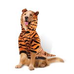 DELIFUR Dog Tiger Costume - Dog Funny Costume Hooded Halloween Cosplay Funny Costume for Small Medium Dogs Pet Special Events Photo Props Accessories (4X-Large)