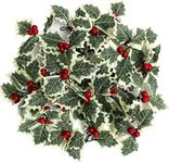 BELLE VOUS 30 Pack Artificial Holly