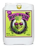 Advanced Nutrients Big Bud Liquid Fertilizer Bloom Booster Flower Enhancer 5L