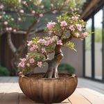 PLANTORI Ceramic Pot for Plants Big Size | Bonsai Tree Pot | Ceramic Flower Pot | Planter for Living Room, Home Decoration, Balcony, Outdoor Garden (9 inch Dia Pot for Plants)(Brown)