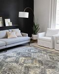 Loloi II SKYE Collection Area Rug SKY-09 GRAPHITE / SILVER 7'-6" x 9'-6"