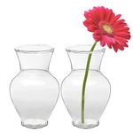 Royal Imports Clear Glass Bottle Bud Vase, Small Single Stem Flower Centerpiece, Mini Decorative Floral Jars, Rustic Farmhouse Home Decor, Kitchen, Fireplace, Shelf, Narrow One Rose Holder, Set of 2