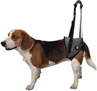 KAJILE Arnés de Elevación para Perros,Arnés de Apoyo para Las Extremidades Traseras y la Cadera,Entrenamiento de Recuperación de Mascotas,Elevación para Perros Lesionados Discapacitados (Gris,M)