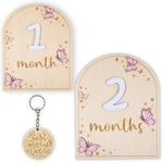 Monthly Baby Milestone Wooden Circle - Baby Monthly Milestone Sign - Months Baby Milestone Signs Cards - Newborn Gift for Girl and Boy - 1-12 Months (Butterfly)