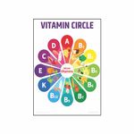 Anne Print Solutions® Vitamin Circle Poster Size 13 X 19 Inch* (Without Frame) For Hospital Poster | Clinic Poster Pack Of 1 Pcs Multicolor