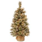 National Tree Company Includes Small LED Lights, White Tipped, Glitter Branches Cones and Cloth Bag Base Glittery Bristle Pine-3 ft, Green, 2ft 11in
