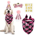 Dog Birthday Party Supplies Girl, VIPITH Dog Birthday Bandana Clothing & Accessories for Dogs, Dog Birthday Hat Dog Birthday Decorations Dog Scarf with Bow Tie Hat Number for Pet Puppy Cat (Pink/Girl)