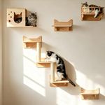 MIUZMORE Cat Wall Shelves for Large Cats, 9PCS Solid Pine Cat Wall Furniture Set with House, Ladder Steps & Sisal Scratching Posts, Sturdy Mounted Climbing Shelves for Indoor Cats