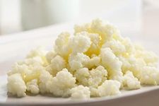 10g of Kombuchaorganic® Live Certified Organic RAW MILK KEFIR Grains - Grass Fed Cow's MILK Kefir Grains