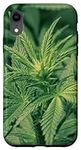 iPhone XR Cannabis Weed Bud Case