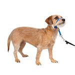 PetSafe Sure-Fit Harness, Adjustable Dog Harness from The Makers of The Easy Walk Harness