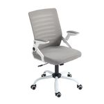 Panana Mesh Back Office Chair Rolling Ergonomic Desk Chair with Wheels Adjustable Height Task Chair (Grey)