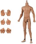 DS. DISTINCTIVE STYLE 1/6 Scale Male Body Narrow Shoulder Standard 12 Inch Action Figure with 8 Interchangeable Hands for Most Head Sculpt